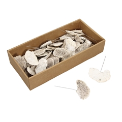 Dried Articles Sponge Mushroom/wire X40