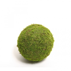 Dried Articles Moss Ball 8cm