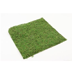 Dried Articles Moss Sheet 38*38cm