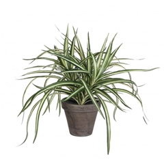 Artificial Plants Pot Dracaena D11/40*34cm