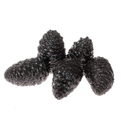 Sale Christmas Maritima Wax Closed 12cm X5