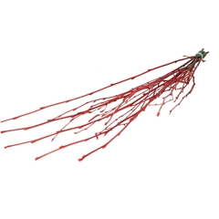 Dried Articles Birch Branch 70cm