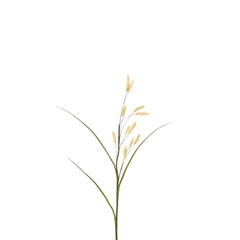 Artificial Flowers Dried Bunny Tails 114cm