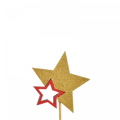 Christmas Sticks 20cm Star Duo 7cm