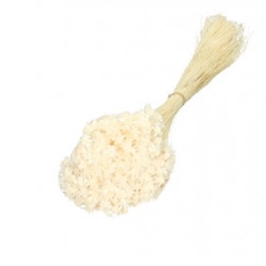 Dried Flowers Glixia 40cm 50g