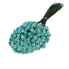 Dried Flowers Glixia 40cm 50g