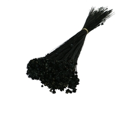 Dried Flowers Glixia 40cm 50g