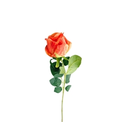 Artificial Flowers Rosa 58cm