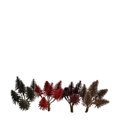 Christmas Deco Nobilis/wire 10cm X6