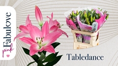 Lily Oriental Tabledance 90cm 4+