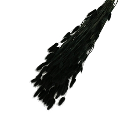 Dried Flowers Lagurus 65cm 100g