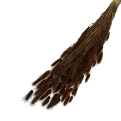 Dried Flowers Lagurus 65cm 100g