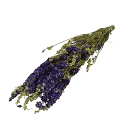 Dried Flowers Delphinium 65-70cm X10
