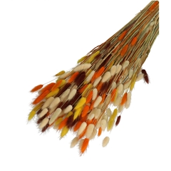 Dried Flowers Lagurus Mix 65cm 100g