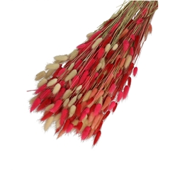 Dried Flowers Lagurus Mix 65cm 100g