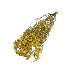 Dried Flowers Gyps 70cm 50g