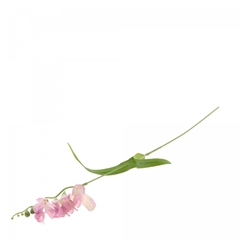 Artificial Flowers Freesia 50cm