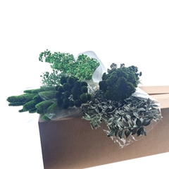 Dried Flowers Diy Box Assorti 60-70cm