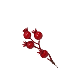 Christmas Branch Pomegranate 12cm X12
