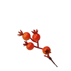 Christmas Branch Pomegranate 12cm X12