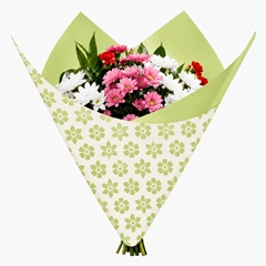 Cellophane Sheet 80*90cm Clear X50