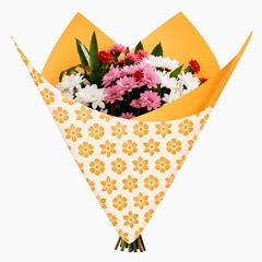 Cellophane Sheet 80*90cm Clear X50