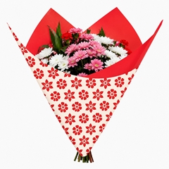 Cellophane Sheet 80*90cm Clear X50