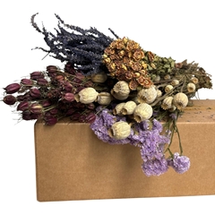 Dried Flowers Diy Box Assorti 60-75cm