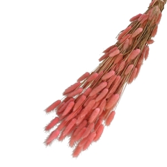 Dried Flowers Lagurus 65cm 100g