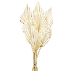 Dried Flowers Palm Spear 50cm X10
