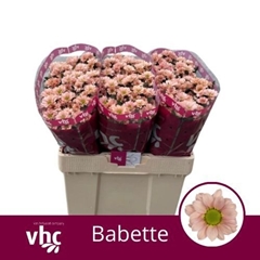 Chrysanth Santini Babette 55cm 44gr.