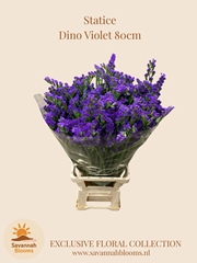Limonium Sinuatum Dino Violet 80cm 50gr.