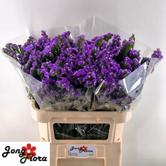 Limonium Sinuatum Crystal Dark Blue 75cm 35gr.