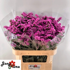 Limonium Sinuatum Raspberry Wings 75cm 35gr.