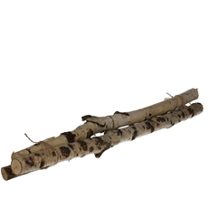 Dried Articles Birch Branch 60cm X3