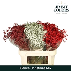 Gypsophila Painted Metallic Christmas Mix 80cm 30gr.