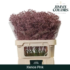 Gypsophila Painted Metallic Rose Gold 80cm 30gr.