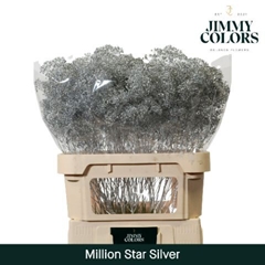 Gypsophila Painted Million Star Metallic Silver 80cm 30gr.