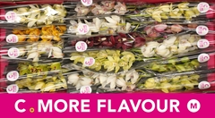 Cymbidium Mini Mix 50cm