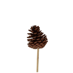 Christmas Sticks 50cm Pine Cone 6cm