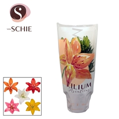 Lily Asiatic Mix 13Ø 50cm
