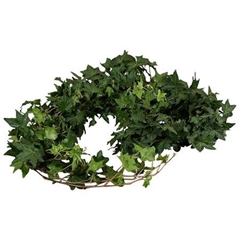 Hedera Twig Green 80cm
