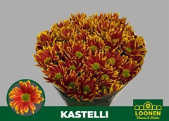 Chrysanth Spray Kastelli 70cm 85gr.