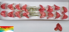 Anthurium Pink Jesolo 11cm Hd