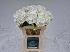 Hydrangea Blizzard 60cm 14-16cm Hd