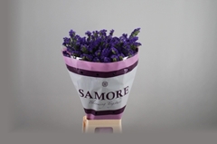 Limonium Sinuatum Acqua Sun Birds 80cm 40gr.