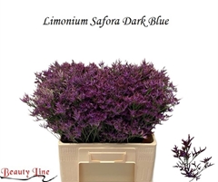 Limonium Safora Dark Blue 60cm 25gr.