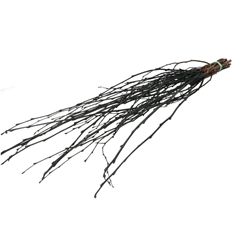 Dried Articles Birch Branch 70cm