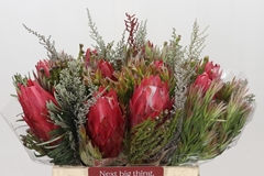 Protea Per Bunch 40cm
