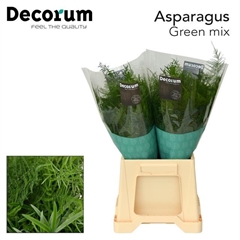 Asparagus Mix 45cm